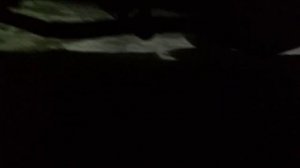 Разорвало банку глушителя