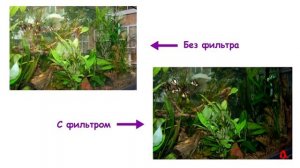 Поляризация света и угол Брюстера