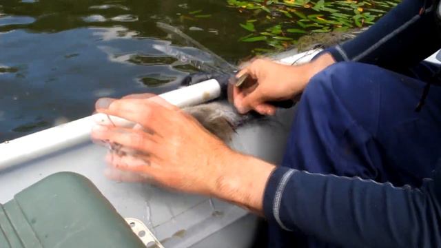 Торговцы сетями! Одумайтесь! смотреть онлайн