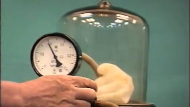 "Живая" перчатка смотреть онлайн