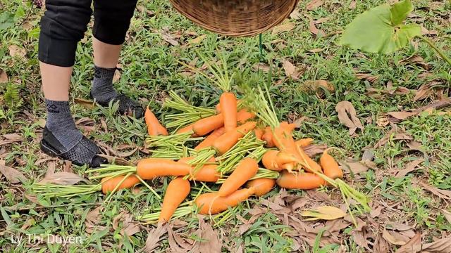 Single mother: I rescued a 2-year-old boy who was abandoned in 2°C cold weather | Ly Thi Duyen смотреть онлайн