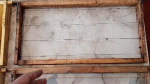 Если клуб пчел не перешел во второй корпус