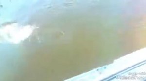 Рыбалка в Астрахани База отдыха Дарданеллы