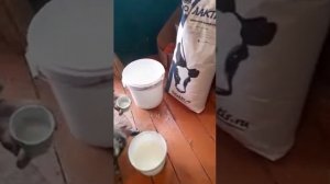 ЗЦМ Биолактис Старт для телят