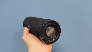 Колонка Walker WPS- 110