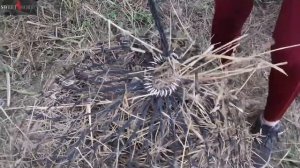 Рептух для сена/мешок для/сетка для/мешок для на 6.5 кг