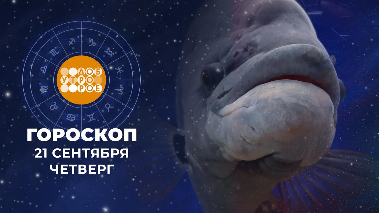Гороскоп на 21 сентября. Доброе утро. Фрагмент выпуска от 21.09.2023