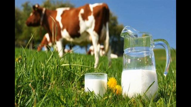 15 фактов о кактусах - Интересные факты смотреть онлайн