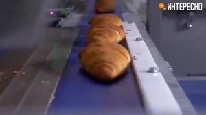 Автоматизация в пищевой промышленности. Станки для еды.