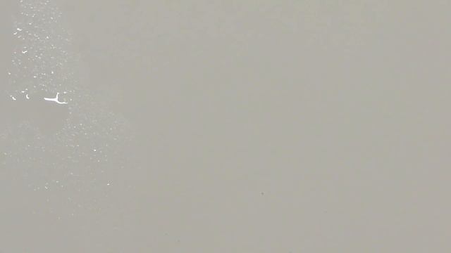 Arteza Woodless Watercolor Pencils Review смотреть онлайн