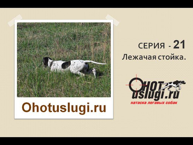 Серия 21 Лежачая стойка. Секреты натаски легавых собак. смотреть онлайн