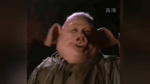 верховный пришёл. МУЖИКИ-КАБАНЫ ГОВОРЯТ И ПОКАЗЫВАЮТ смотреть онлайн