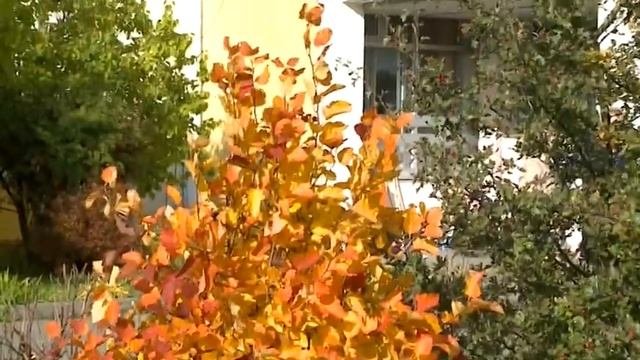 (12+) Лучший учитель географии Московской области