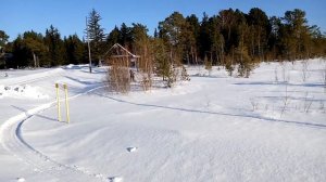 мотобуксировщик на 380 гусле по насту