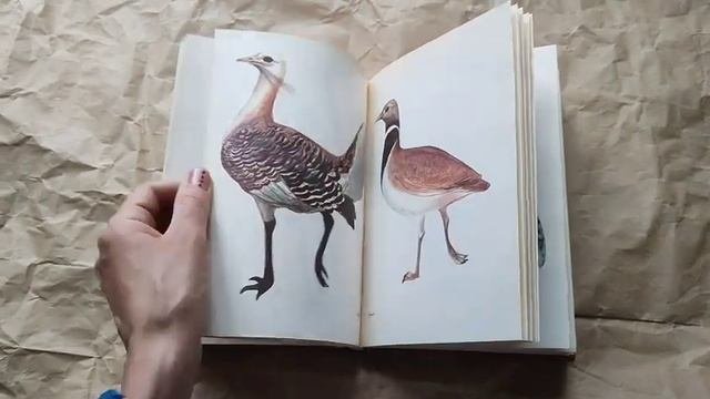 Красная книга. Редкие и охраняемые  растения и животные Волгоградской области. Составитель Брылев