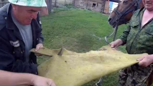 Живу как хочу/Седлаем больную немощную лошадь/Бедная лошадка! смотреть онлайн