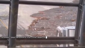 Редкая съемка землетрясения и цунами в Японии в 2011 году