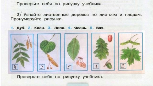 Окружающий мир. Рабочая тетрадь 4 класс 1 часть. ГДЗ стр. 41 №2 смотреть онлайн