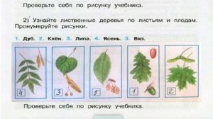Окружающий мир. Рабочая тетрадь 4 класс 1 часть. ГДЗ стр. 41 №2