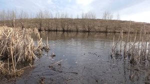 РЫБАЛКА НА КАРАСЯ В АПРЕЛЕ.  суперклев карася