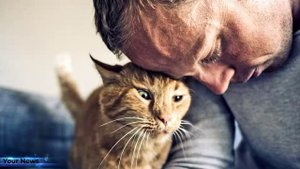 ? Учёные выяснили, как кошки на самом деле относятся к хозяевам ?