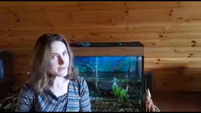 Участие в Региональном педагогическом веб-форуме Трубович Морины Сергеевны, воспитатель МБДОУ ДС 46 смотреть онлайн