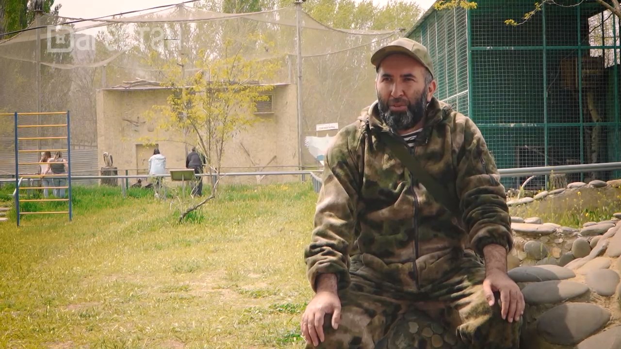 «Спасатель птиц. Хаджаман Исмаилов». «Удивительные горцы»