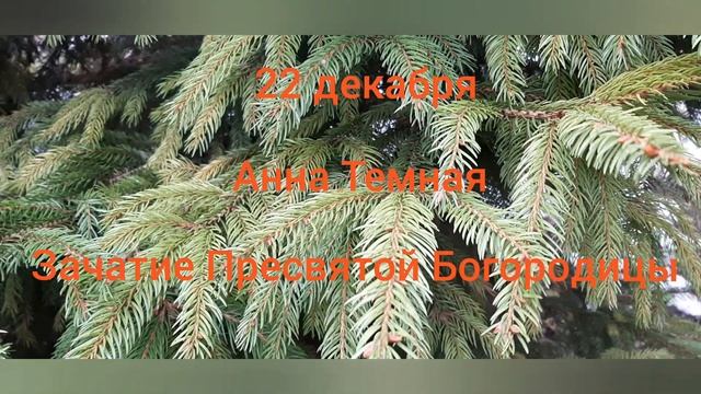 22 декабря/Анна Темная/зачатие Пресвятой Богородицы/именины смотреть онлайн