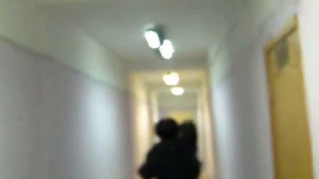 Карусель на выборах 27 января 2013г УИК№294. г. Кемерово смотреть онлайн