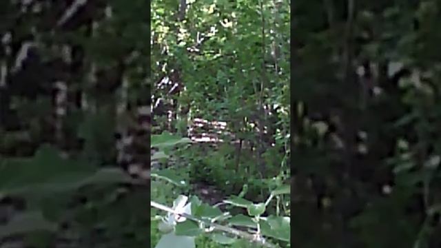 Карнак смотреть онлайн