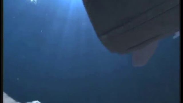 Aqualtis