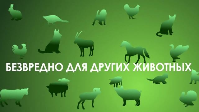 Торнадо 1200 - ультразвуковой отпугиватель крыс и мышей смотреть онлайн
