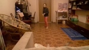 Как научиться ходить на руках?