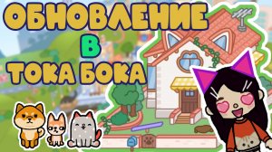 Обновление в Тока Бока. Дом для пушистиков