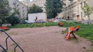 Как выпустить стрижа