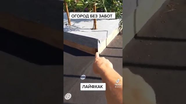 Огород без забот лайфхак#дача#советы