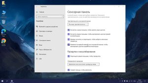 Как настроить сенсорную панель на ноутбуке Windows 10