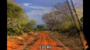 Canon Eos R7 Vs Canon Eos R6 Camera Test