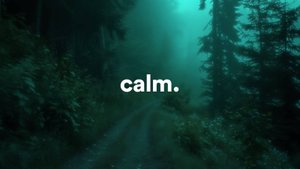 calm down, it’s okay.