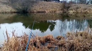 Рыбалка в кленово новая москва, рыбы нет((((