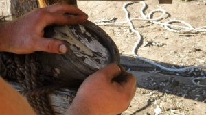 Как подковать лошадь на Алтае?