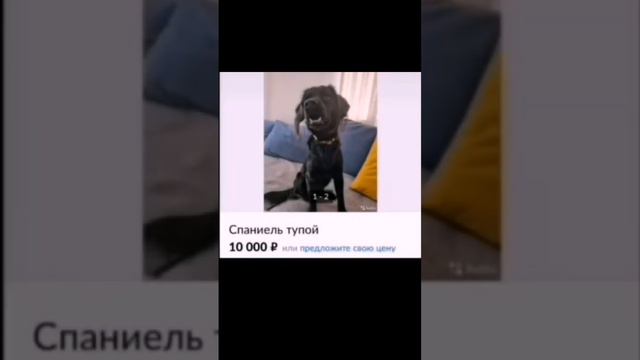 вы уже купили копатыча?