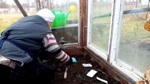 Посадка семян капусты и лука под зиму. Эксперимент.