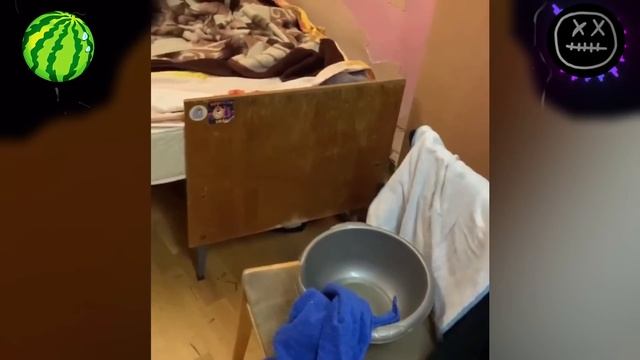 ТРЕШ ИСТОРИИ ИЗ ОБЩАГИ смотреть онлайн