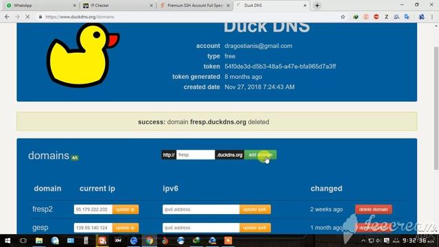 How to make a DNS server from digital IP address using duckdns.org as our dns host. смотреть онлайн