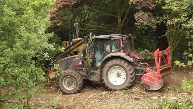 Rhododendron ponticum removal, Kilmahew/St. Peter's Seminary, Cardross, 2.9.2014 смотреть онлайн
