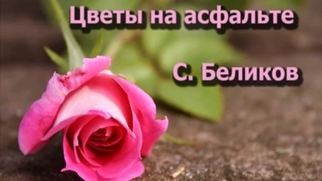 С. Беликов - Цветы на асфальте смотреть онлайн