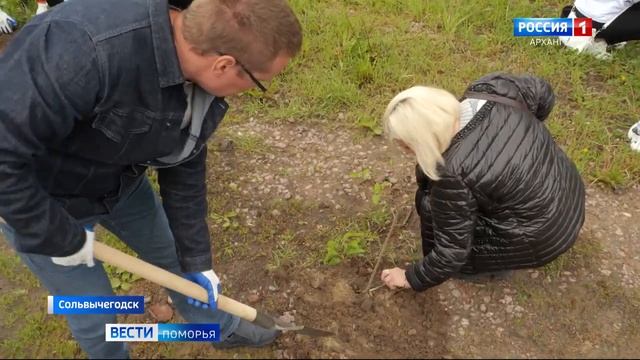 В Сольвычегодске впервые прошёл фестиваль «Сирень в Усолье»