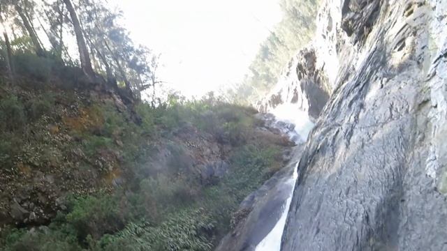 Kalag @H0merSimpsons East Java and Central Java Indonesia ?? смотреть онлайн