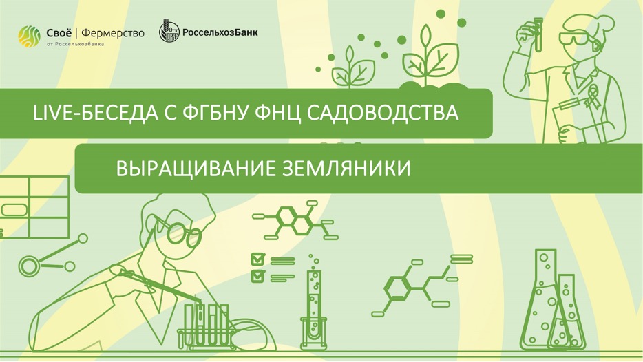 Выращивание земляники